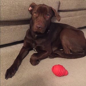 Meet your Posher, Sierra